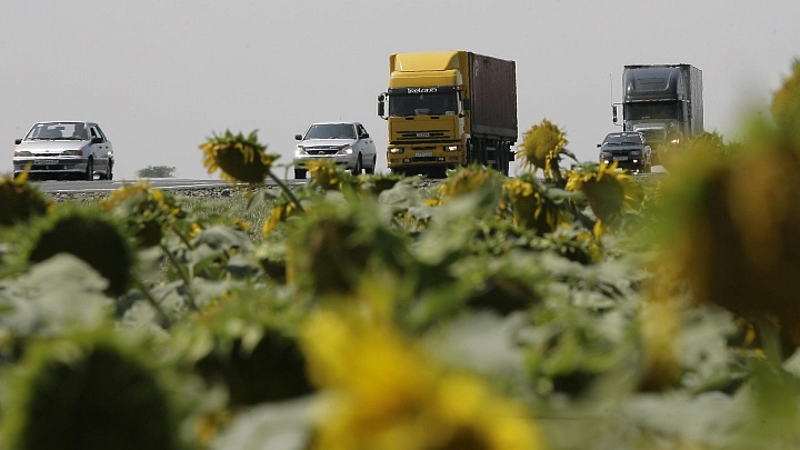 Россия экспортирует 4,8 миллиона тонн подсолнечного масла обогнав Украину